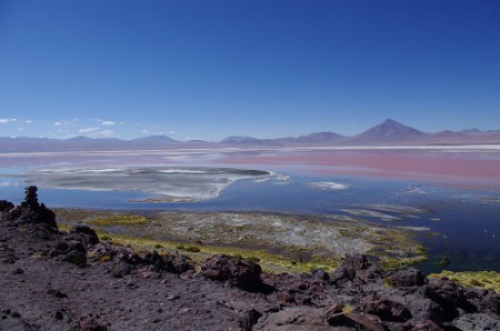 laguna colerada